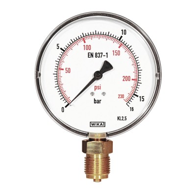 Manometr precyzyjny REMS 115045